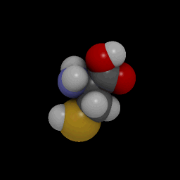 На рисунке модель молекулы селеноцистеина (желтым обозначен селен, который заместил собой серу) selenotsistein