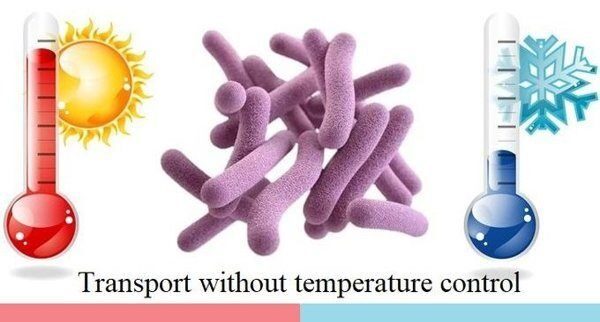 температурный режим транспортировки пробиотиков